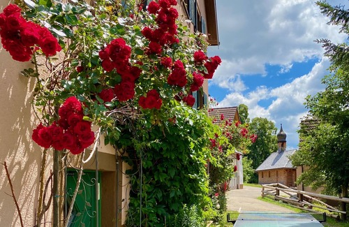 St. Blasien Apartment | Appartement C, 45qm, 1 Schlafzimmer, max. 3 Personen