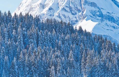Flumet Apartment | Appartement chaleureux au pied des pistes avec parking, pour 4-6 personnes - FR-1-505-61