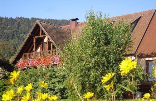 Thannenkirch Apartment | Appartement charmant à Thannenkirch avec vue montagne