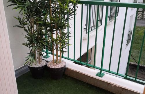 La Roche-Posay Apartment | Appartement Confortable Proche des Thermes avec Balcon et Wifi - FR-1-541-53