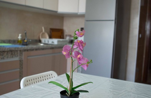 Casablanca Apartment | Appartement Convivial et Sans vis à vis