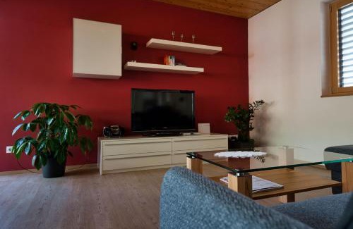 Hoerbranz Apartment | Appartement Elisa