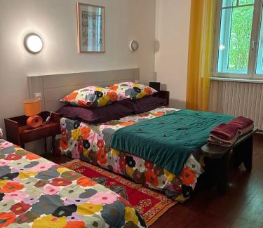 Ciboure Apartment | Appartement en rez de jardin