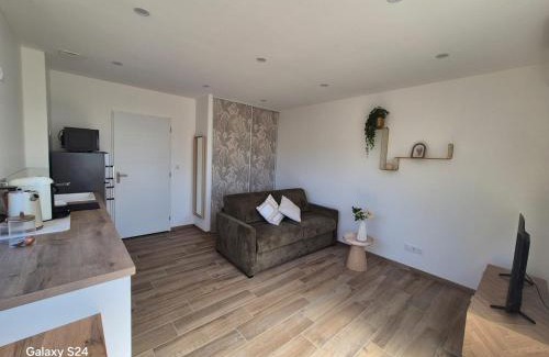 Saint-Maurice-l'Exil Apartment | Appartement T2 avec jardin - Saint Maurice l'Exil