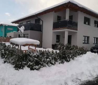 Eben im Pongau Apartment | Appartement Gschwandtner