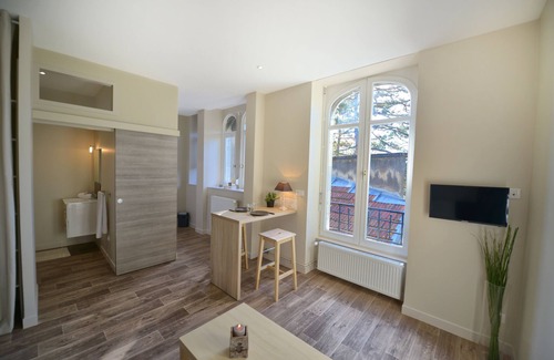 Besancon Apartment | Appartement Les Suites Du Parc - Studio Lumière