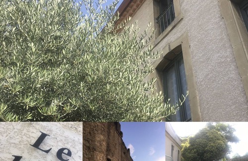 Carcassonne Apartment | Appartement Neuf au Pied de la Cité de Carcassonne