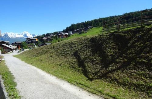 Vallandry Apartment | Appartement Peisey-Vallandry, 1 pièce, 4 personnes - FR-1-411-311