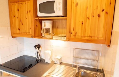 Valfrejus Apartment | Appartement spacieux 4 pers au pied des pistes, proche télécabine à Modane - FR-1-468-49