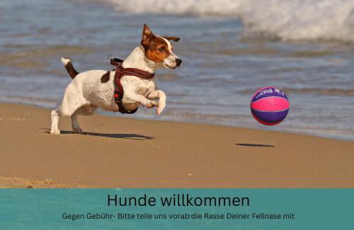 Binz Apartment | Appartement "Strandhöhle" - für die kleine Familie mit einem Kind