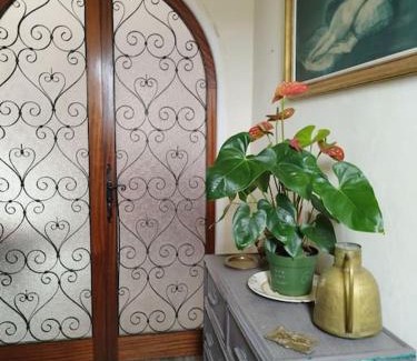 Mediterranee Apartment | Appartement tout confort d'une villa