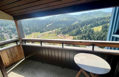 Laveissiere Apartment | Appartement T2 cabine proche pistes avec balcon et casier à skis - FR-1-787-13