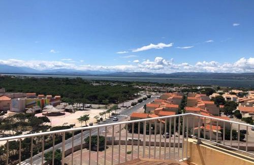 Le Barcares Apartment | Appartement T3 climatisé avec 6 couchages, terrasse et parking à 300m des commerces - FR-1-81-490