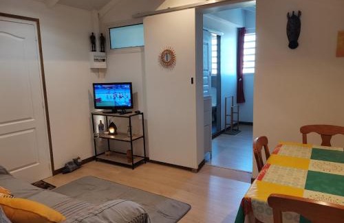 Centre Ville Apartment | Appartement Terre Sud Lockaze et SPA