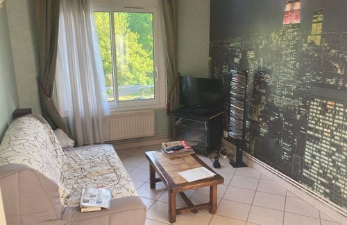 Dijon Apartment | Appartement Très Lumineux, CHU - Stade Gaston Gérard