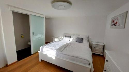 Gosau Apartment | Appartement Twin Peak Edelweiss