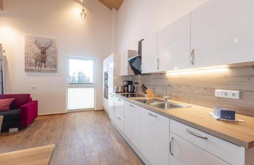 Haus im Ennstal Apartment | Appartementhaus zum Moserlhof