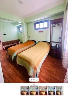 Shillong House | Apple Cherry Pine Green Homestay