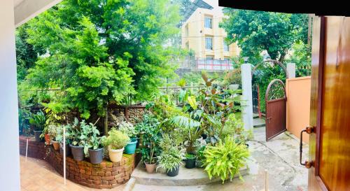Shillong House | Apple Cherry Pine Green Homestay