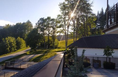 Bayerisch Eisenstein Apartment | Apratmán Julie – Bavorská Ruda