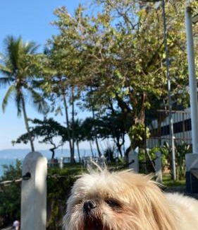 Prainha Apartment | Apto Areia azul-PÉ NA AREIA- PETFRIENDLY PREMIUM na prainha