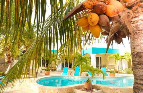 Playa Hotel | Aqua Viva Suites