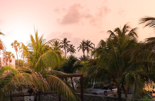 Playa Hotel | Aqua Viva Suites