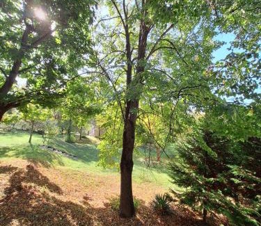 Kaposvar Apartment | Aréna Apartman