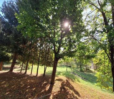 Kaposvar Apartment | Aréna Apartman