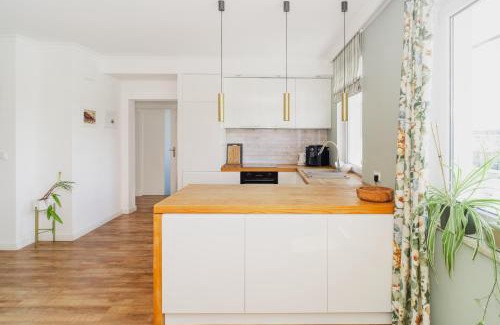 Zaspa Apartment | Archirent Apartament Aviator