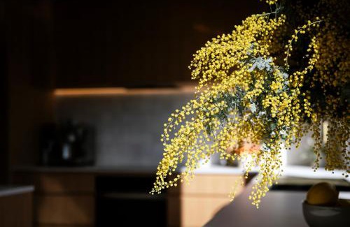 Red Hill House | Architectural gem in central Red Hill