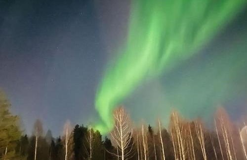 Rovaniemi Ski Chalet | Arctic log house Hirvas