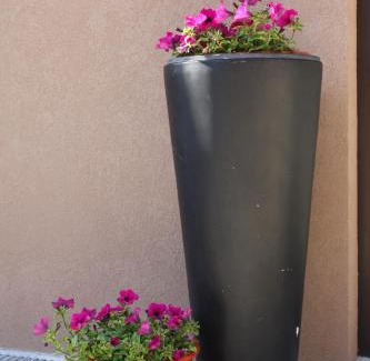 Arvore House | Areia Beach Guest House