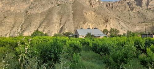 Areni Bed & Breakfast | Areni Tavern-B&B