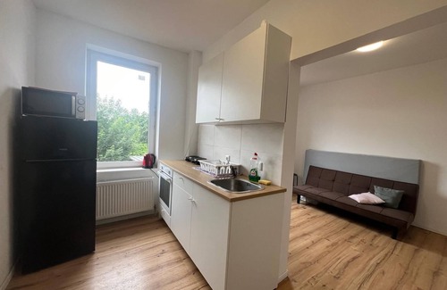 Zeitz Apartment | AriProp Parkside Modern Apartment with 3 rooms