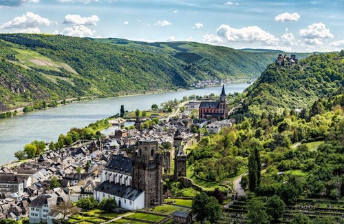 Mainz-Bingen Apartment | Art Deco Villa Bacharach