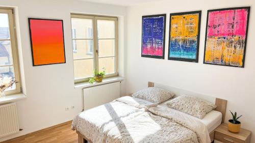 Ceske Budejovice Apartment | ART room with rooftop prosecco picnic or breakfast
