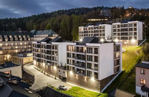 Krynica-Zdroj Apartment | Art & SunSki Studio z garażem podziemnym