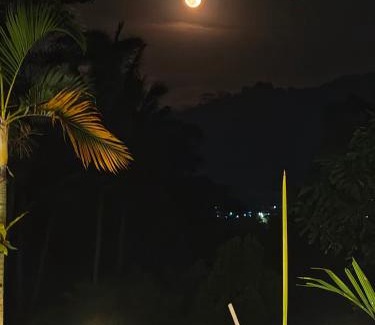 Sidemen Hotel | Arta dani villas