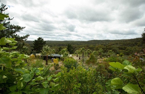 Hepburn Springs Cabin | Artist's Studio - Hepburn Springs, VIC (Former art studio of David Bromley)