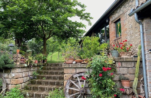 Corbara Apartment | Artistic loft in the countryside between Orvieto and Lake Bolsena