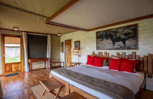 Serengeti National Park Other | Arukore Simba Camp-Serengeti