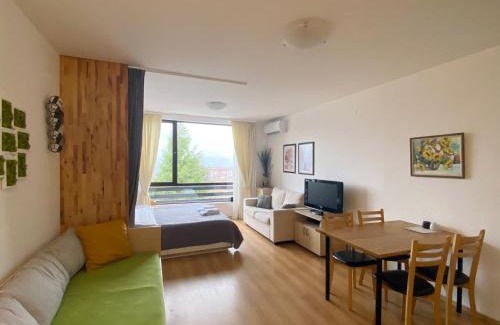 Razlog Apartment | Aspen studio Mountain retreat at Aspen Resort Golf Ski & Spa