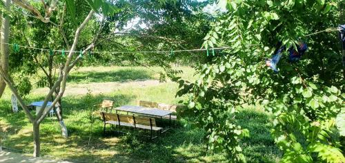 Nurata District House | Asror`s homestay in Sentyab village