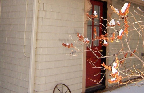 Manitou Springs Cabin | At the Springs Cabin: Walking Location-Charm-Extras Just for You!