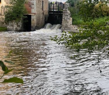 Saint-Pierre-les-Etieux House | Atelier de peinture au Moulin de Gâteau - Atelier sur l'eau