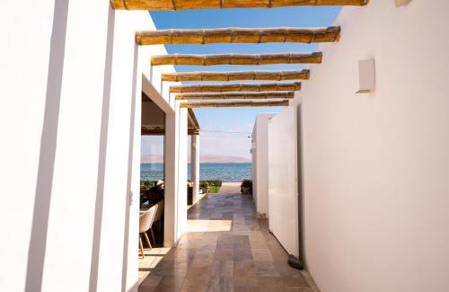 Pisco Hotel | Atoq Paracas Reserva