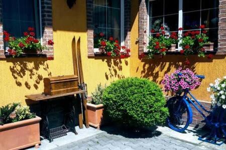 Sighisoara Apartment | ATRIUM 24 Suite