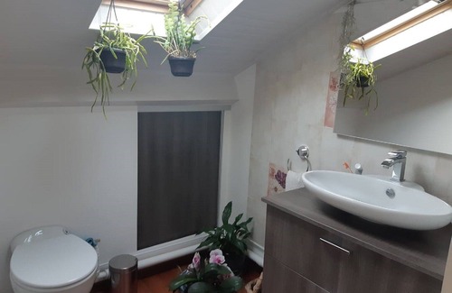 Le Grand-Lemps House | Attic room