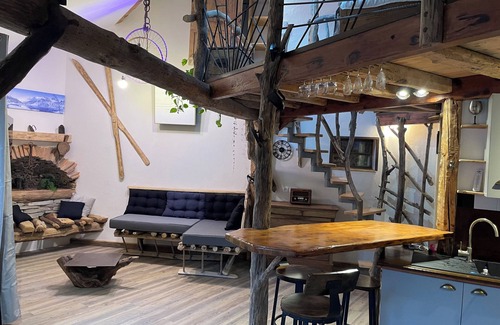 Tarascon-sur-Ariege Apartment | Atypical downtown apartment close to all amenities